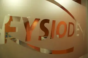 Fysiode raam logo sticker